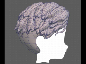 Base Hair for Boy V19 3D Model
