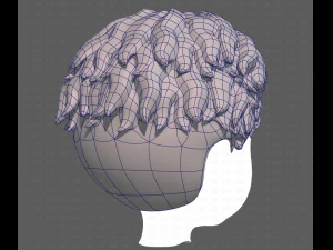 Base Hair for Boy V19 3D Model