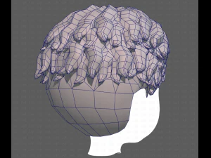 Base Hair for Boy V19 3D Model
