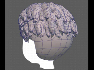 Base Hair for Boy V19 3D Model
