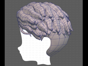 Base Hair for Boy V19 Model 3D