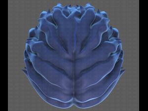 Base Hair for Boy V19 Model 3D