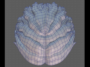 Base Hair for Boy V19 Model 3D