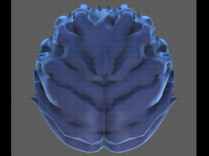Base Hair for Boy V19 Model 3D