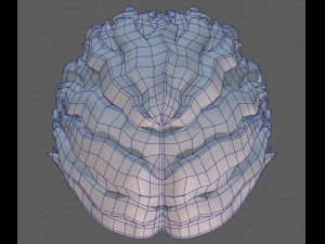 Base Hair for Boy V19 3D Model