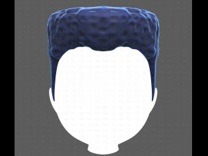 Base Hair for Boy V22 3D Model