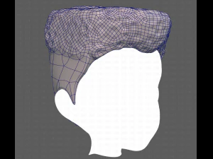 Base Hair for Boy V22 3D Model