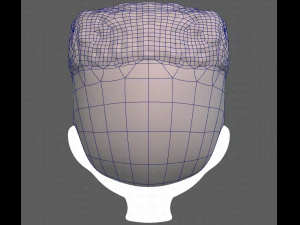 Base Hair for Boy V22 3D Model
