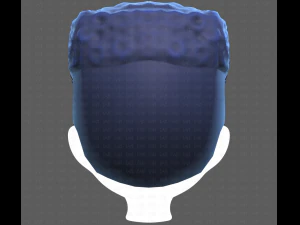 Base Hair for Boy V22 3D Model