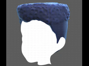 Base Hair for Boy V22 3D Model