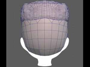 Base Hair for Boy V22 3D Model