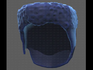 Base Hair for Boy V22 3D Model