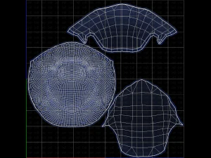 Base Hair for Boy V22 3D Model