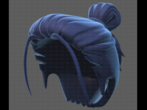 Base Hair for Boy V23 3D Модель