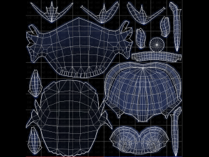 Base Hair for Boy V23 3D Модель