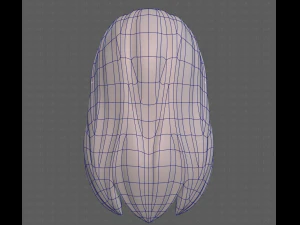 Base Hair for girl V25 3D Model