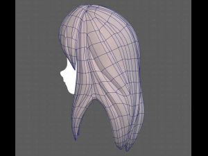 Base Hair for girl V25 3D Model