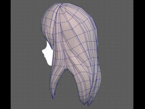 Base Hair for girl V25 3D Model