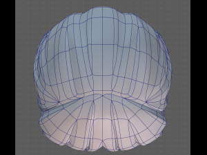 Base Hair for girl V25 3D 模型
