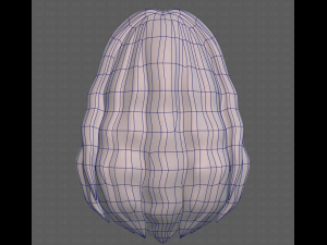 Base Hair for girl V26 3D-Modell