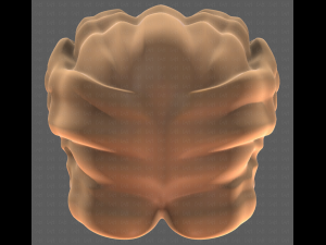 Base Hair for girl V26 3D-Modell