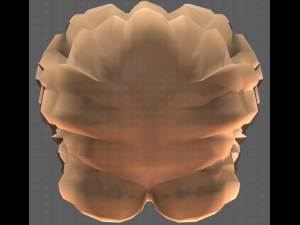 Base Hair for girl V26 3D-Modell