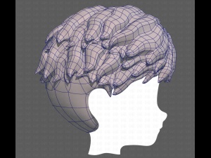 Base Hair for Boy V25 3D 模型