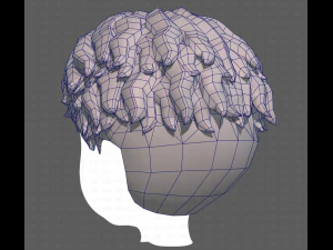Base Hair for Boy V25 3D Model