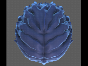 Base Hair for Boy V25 3D 模型