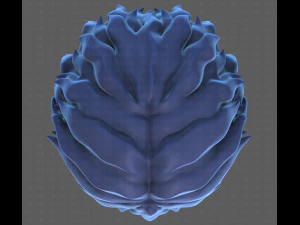 Base Hair for Boy V25 3D Model