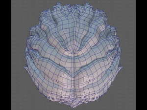 Base Hair for Boy V25 3D Model