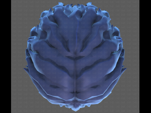 Base Hair for Boy V25 3D 模型