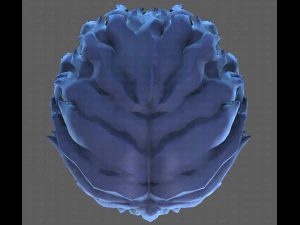 Base Hair for Boy V25 3D Model