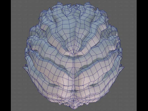 Base Hair for Boy V25 3D Model