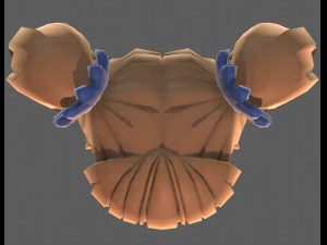 Base Hair for girl V27 3D Model