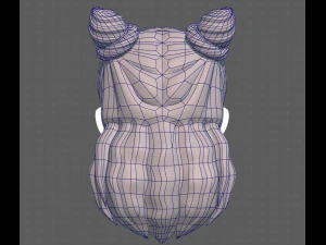 Base Hair for girl V28 3D Model
