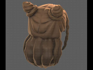 Base Hair for girl V28 3D Model