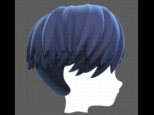 Base Hair for Boy V27 3D Model
