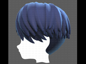Base Hair for Boy V27 Modelo 3D