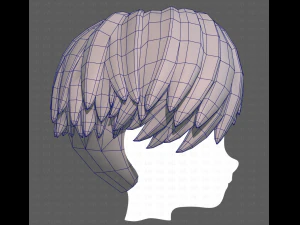Base Hair for Boy V27 3D Model