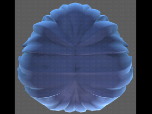 Base Hair for Boy V27 Modelo 3D