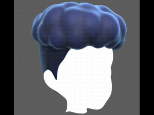 Base Hair for Boy V28 3D Model