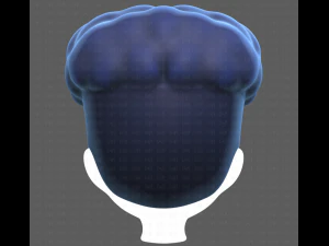 Base Hair for Boy V28 3D Model