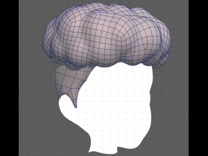 Base Hair for Boy V28 Model 3D