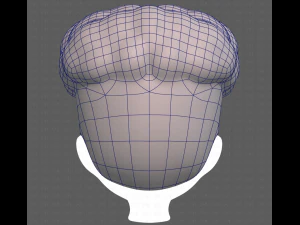 Base Hair for Boy V28 3D Model