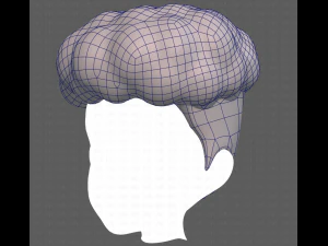 Base Hair for Boy V28 3D Model