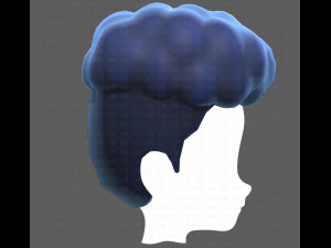Base Hair for Boy V28 3D Model
