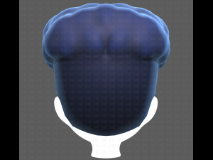 Base Hair for Boy V28 Model 3D