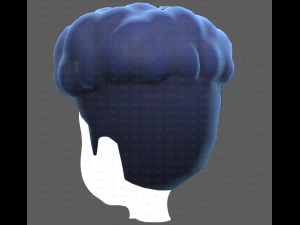 Base Hair for Boy V28 3D Model