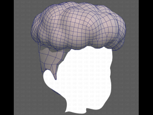 Base Hair for Boy V28 Model 3D